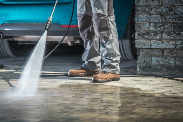 Pre-Holiday Cleaning in Dansville, NY