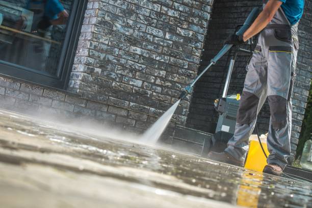 Best Oil Spill Cleanup  in Dansville, NY