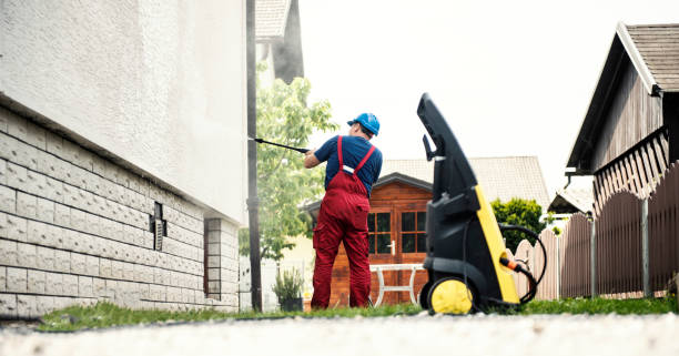 Best Paint Preparation  in Dansville, NY